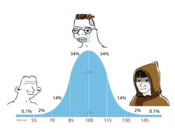 Gaussian distribution of programmers Meme Template