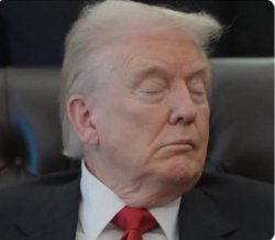 Trump sleepy Meme Template