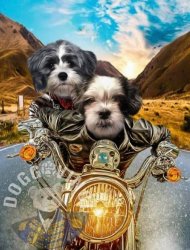 Henry and Sally on motorcycle Meme Template