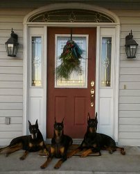 Chrisjoines1 Meme Template