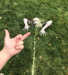 Middle finger to zombie Meme Template