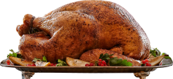 Cooked turkey png Meme Template