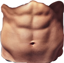 abs Meme Template