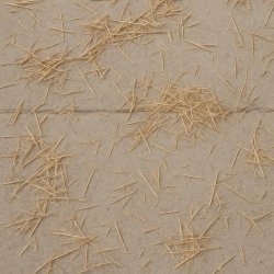 THIS FLAT CEMENT SIDEWALK and across it lays various amounts of Meme Template