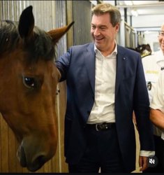 Wenn du sogar Pferde depressiv machst Meme Template