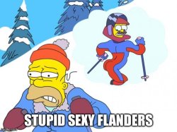 Stupid Sexy Flanders Meme Template