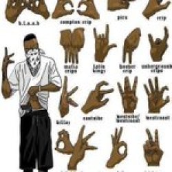 My signes Meme Template