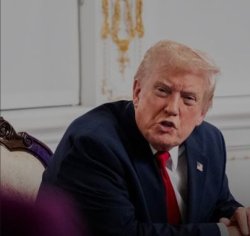 Are you stupid? Meme Template