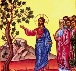 December 21  - Luke 21 Meme Template