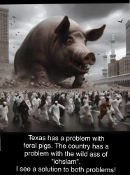 The View Gone Wild. Meme Template