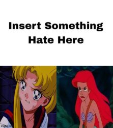 Ariel and Usagi hates who ? Meme Template