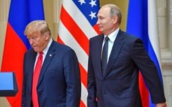 quietpiggy Meme Template