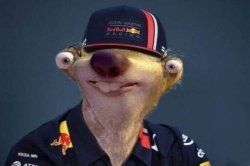 Max Verstappen Sloth Meme Template