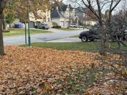 Neighbour does NOT Rake Leaves Meme Template