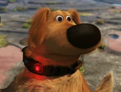 Doug squirrel dog up Meme Template