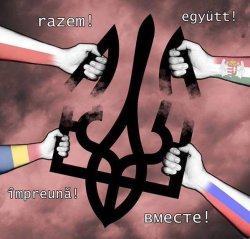 impreuna Meme Template