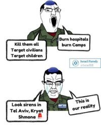 our reality idf Meme Template