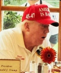 Sleepy Don Meme Template