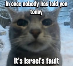 In case if nobody has told you today, it’s Israel’s fault Meme Template