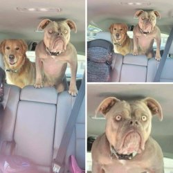 twokindsofstudents Meme Template