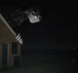 Nervous Houseguest Meme Template