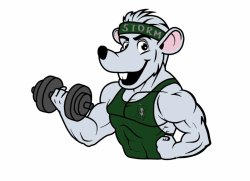 Gym Rat Meme Meme Template