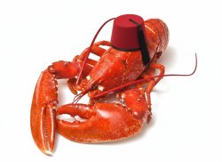 Turkish Lobster Meme Template
