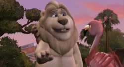 This isn’t about color, so don’t play the pink card Meme Template