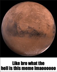 Like bro what the hell is this meme lmmaoooooo Meme Template