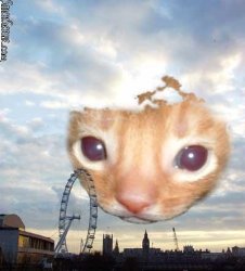 meperd0n as¿ Meme Template