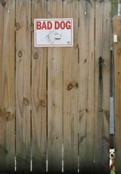 Chrisjoines1 Meme Template