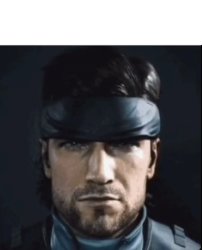 Solid Snake Meme Template