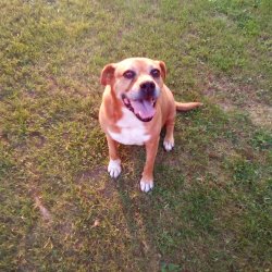 Chrisjoines1 Meme Template