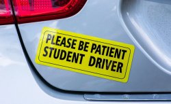 StudentDriver Meme Template