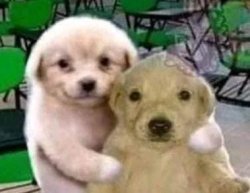 My friend wants to ask you Meme Template