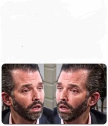 Don Jr 1 Meme Template