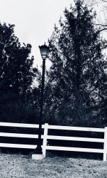 Light port Mirror Image Mode Meme Template