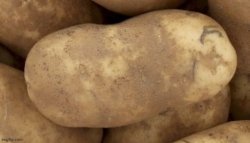 one potato Meme Template