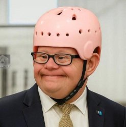 Tampon Tim Retard Meme Template