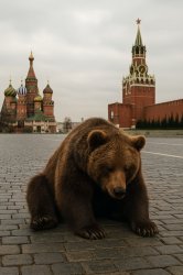 Russian bear Meme Template