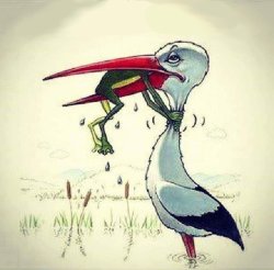 frog being swallowed chokes stork Meme Template