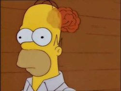 homer brain out Meme Template