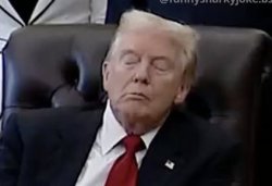 sleepy Don Meme Template