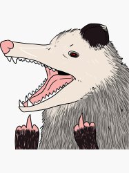 Flippin possum Meme Template