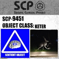 SCP-9451 Meme Template