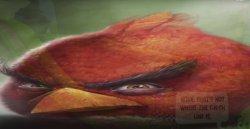 Pale bird Meme Template