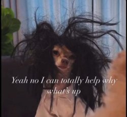 Art teacher things Meme Template