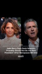 Halle Berry vs. Gavin Newsom Meme Template
