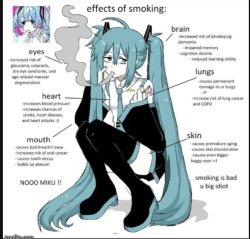 the effects of smoking Meme Template