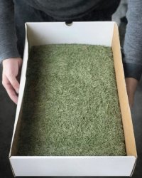 Ikea X-mas Tree Meme Template